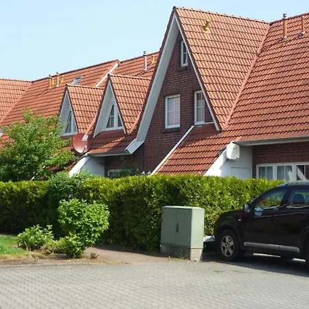 Anchorage הוקזיל